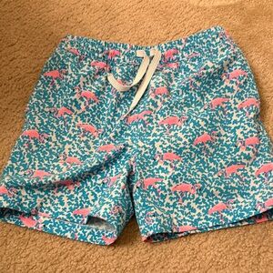 Chubbies Kids Swim Trunks with Pink Dinosaur Pattern